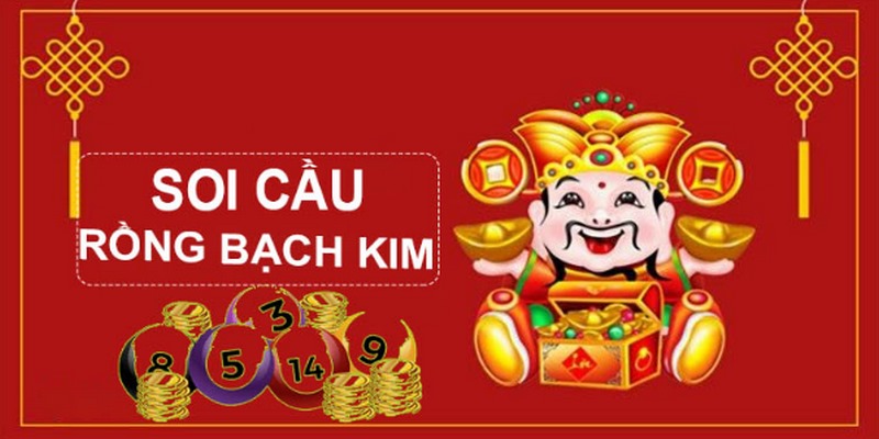uk8 gà chọi