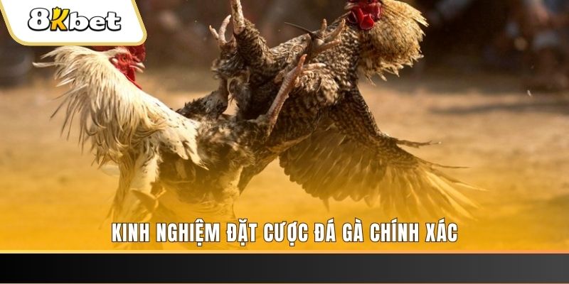 uk8 xổ số thứ bảy hàng tuần