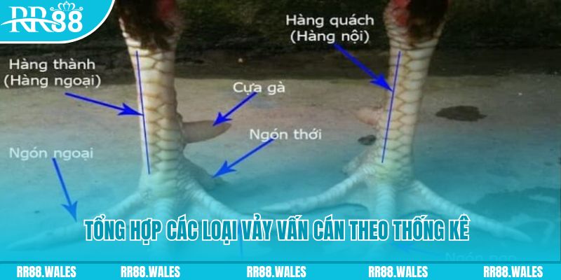 uk8 xổ số miền nam thứ sáu