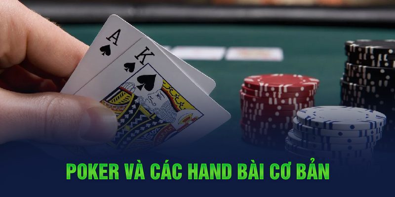 uk8 đá gà cựa dao