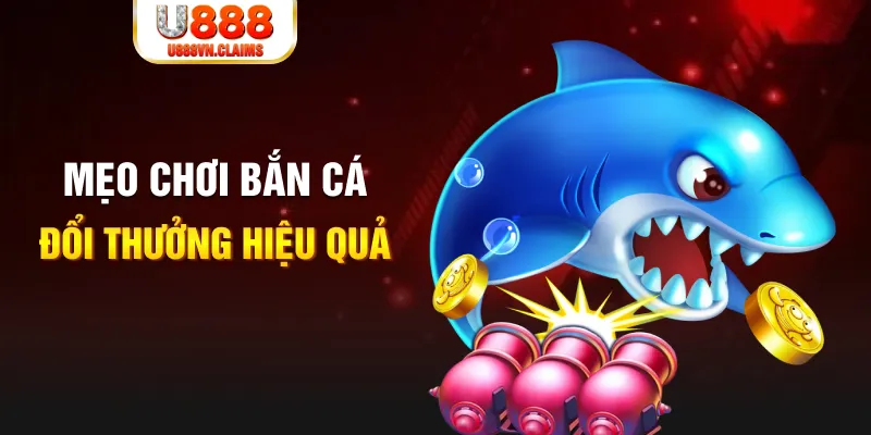 uk8 gà chọi cam ranh