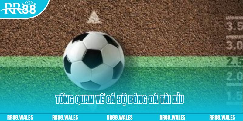 uk8 đăng nhập roulette online