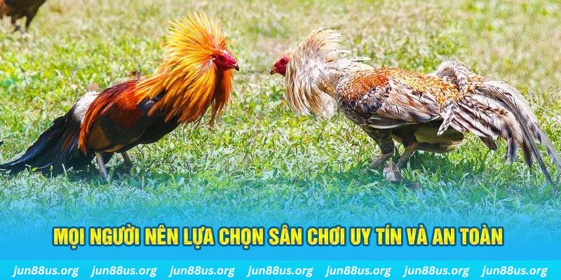 uk8 Cỡ bảy