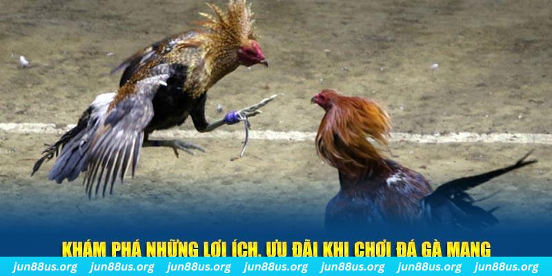 uk8 đăng nhập liêng live
