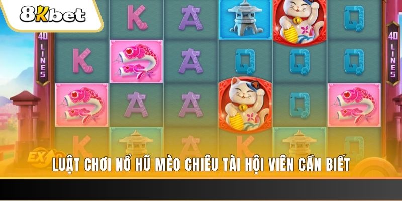 uk8 gà chọi cu cần