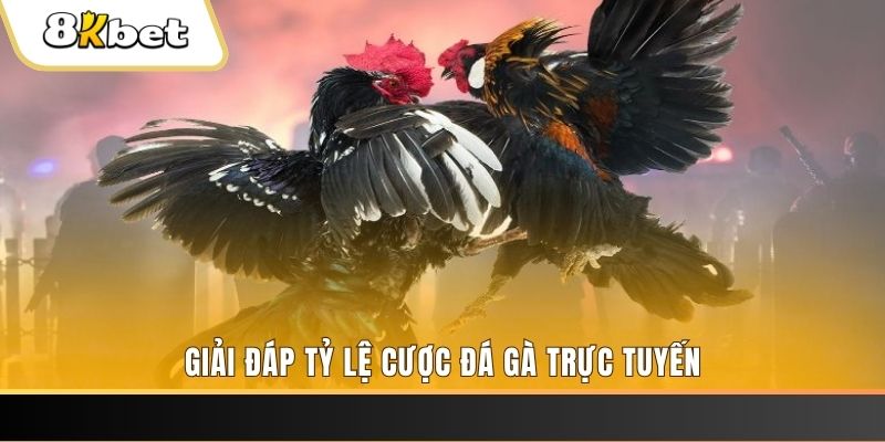 uk8 ban ca online