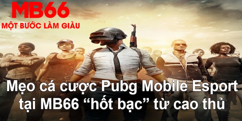 uk8 đăng nhập poker hàng đầu