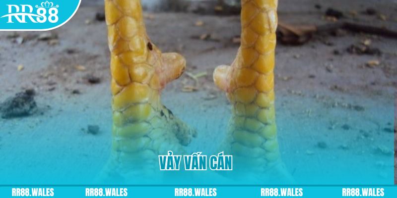 uk8 Phi Đội Ưu Tú